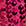 Fuchsia Pink Swatch